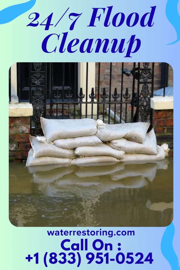 24/7 Flood Cleanup in Dansville, NY