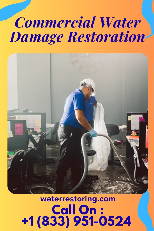 Commercial Water Damage Restoration in Dansville, NY