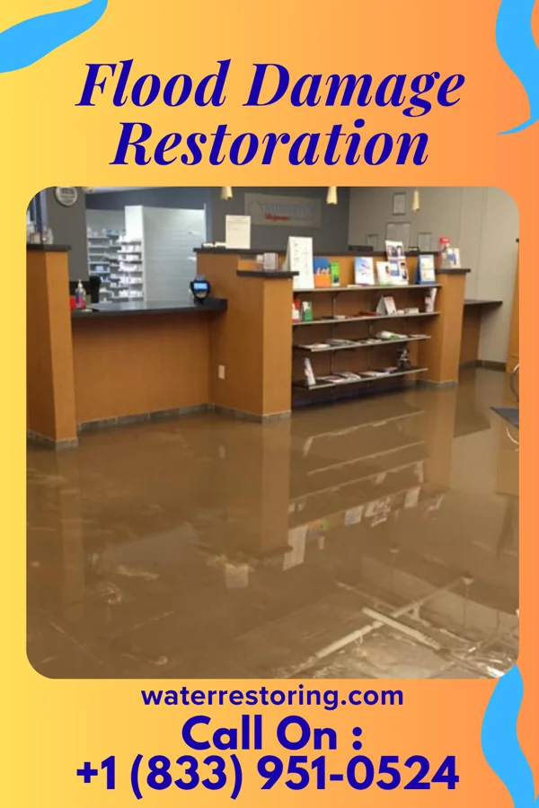 Flood Damage Restoration in Dansville, NY