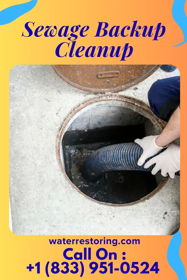 Sewage Backup Cleanup in Dansville, NY
