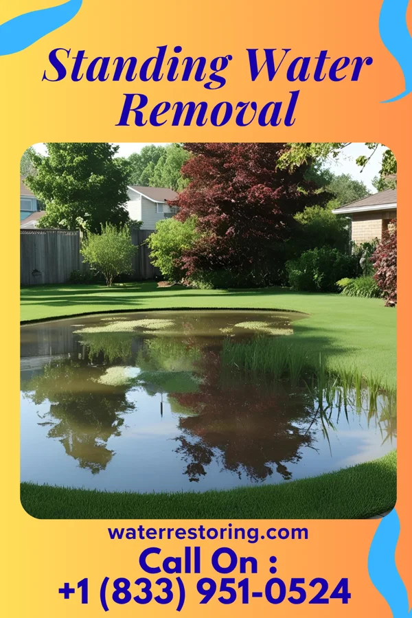 Standing Water Removal in Dansville, NY